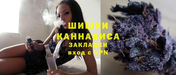 гашик Алзамай