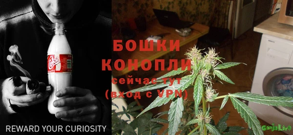 гашик Алзамай