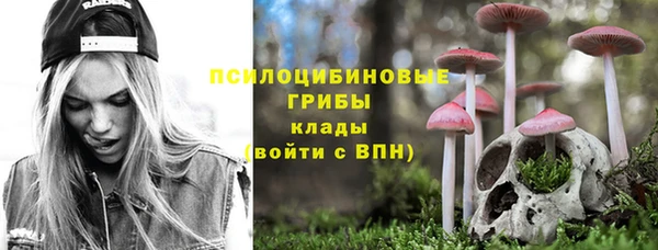 гашик Алзамай