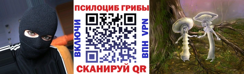 darknet клад  Балабаново  Галлюциногенные грибы GOLDEN TEACHER  kraken зеркало 